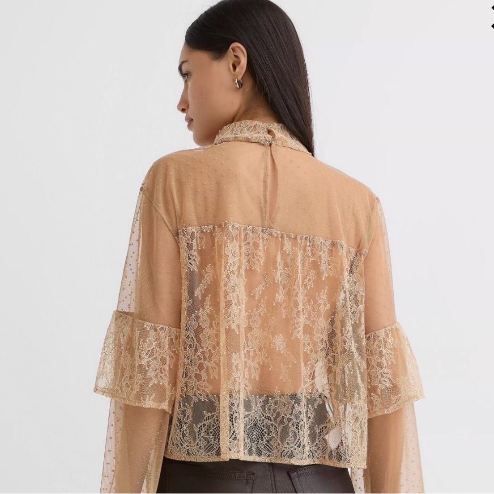 LOFT Velvet Dotted Chantilly Lace Ruffle Top - Picture 2 of 8